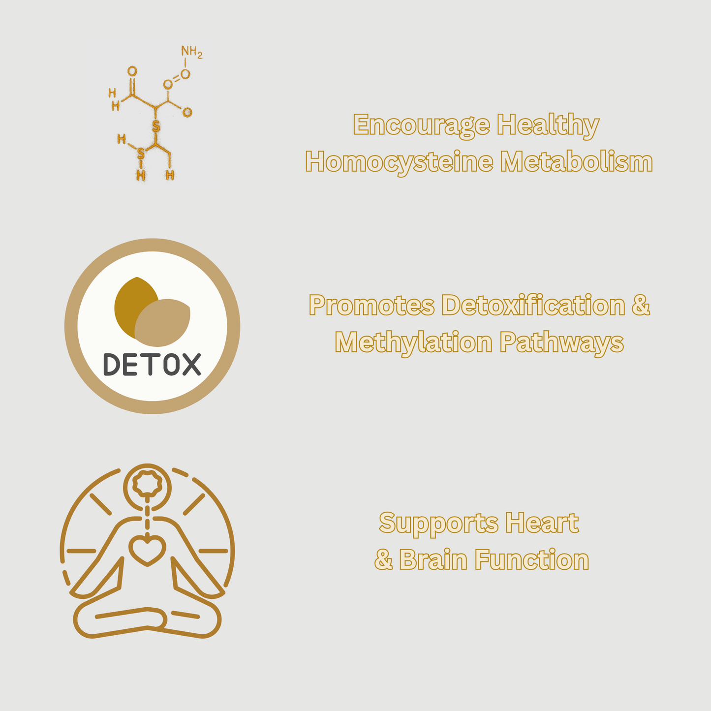 Homocysteine Support Cream – Methylation Wellness with B12, B Complex