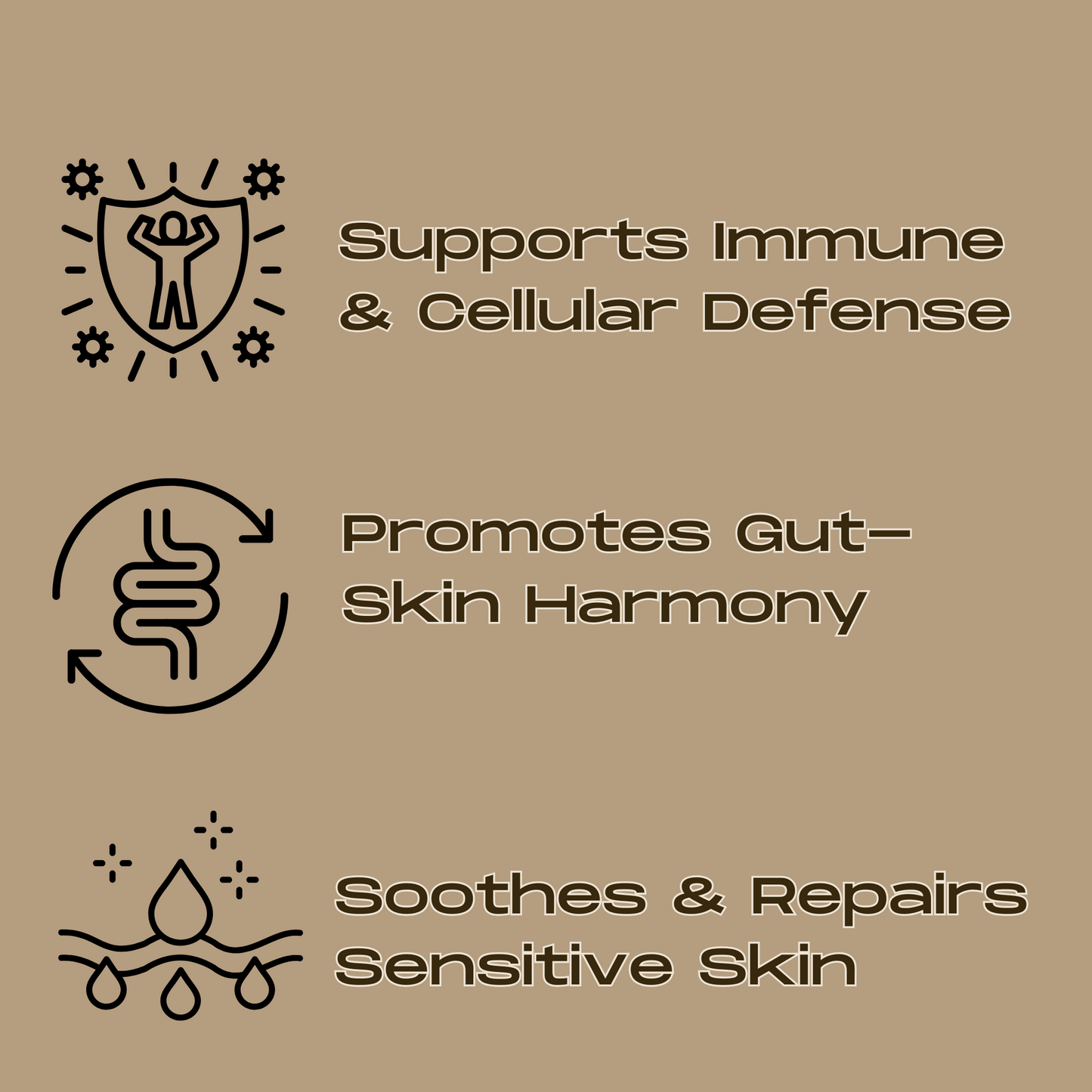 Turkey Tail – Mushroom Cream for Immune Balance, Skin Defense